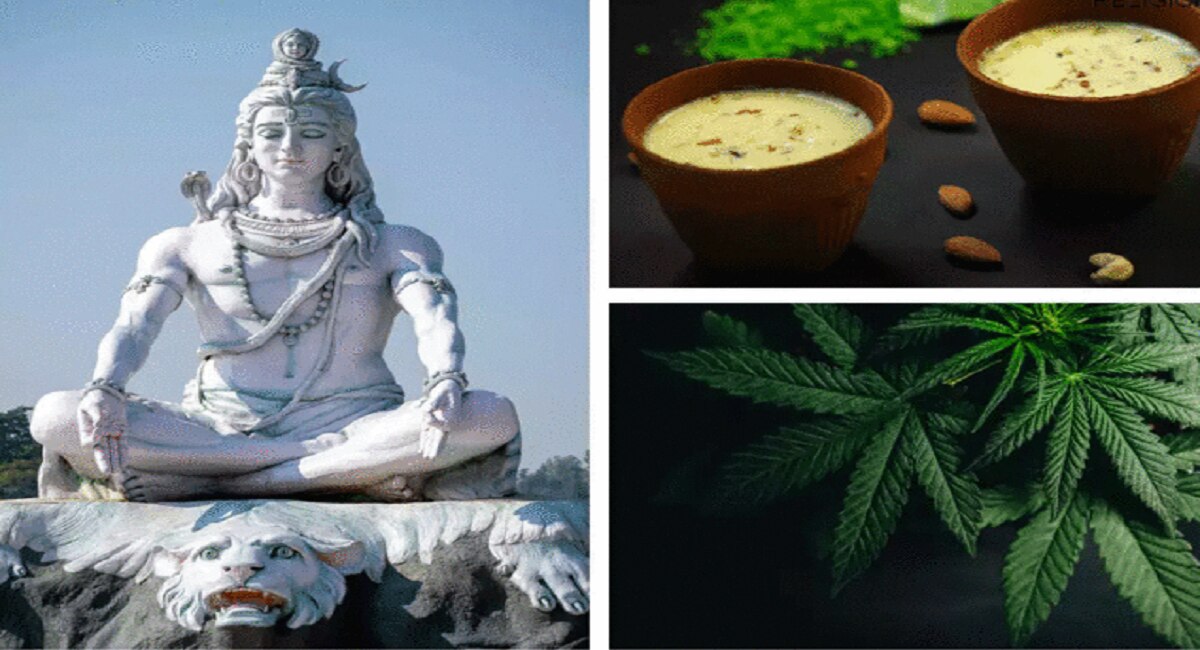 mahashivratri-2023-bhang-benefits-and-bhang-side-effects-and-do-not-eat