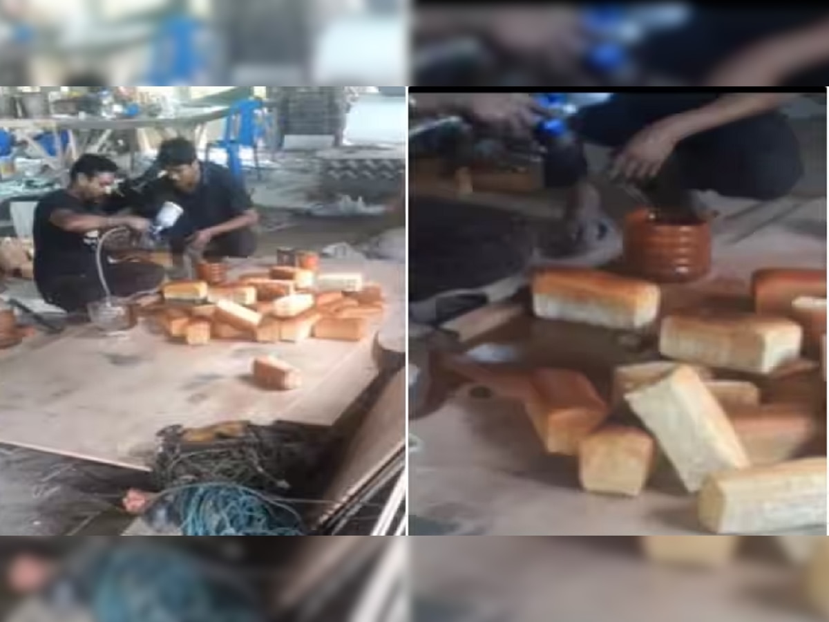 Viral Video : Bread खाण्यापूर्वी एकदा 'हा' व्हिडीओ बघा  title=