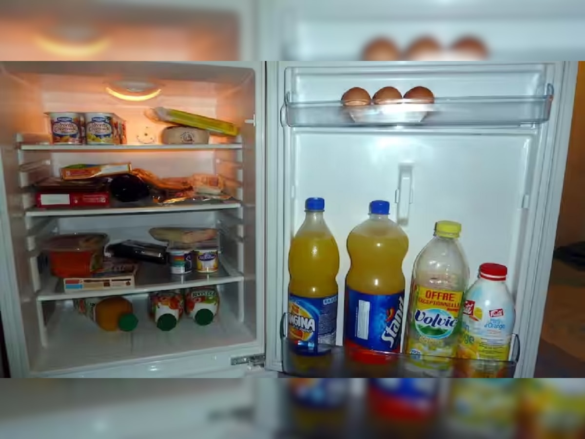Refrigerator Hacks: चुकूनही फ्रीजमध्ये ठेवू नका 'या' 3 गोष्टी नाही तर... title=