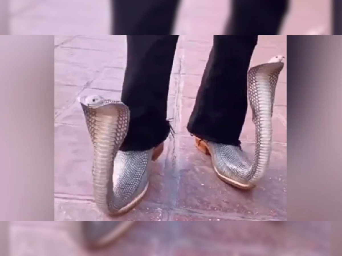 Snake Shoes: कोब्रा शूज घालून रस्त्यावर फिरत होता; प्रसिद्ध उद्योजकाने शेअर केला Video title=