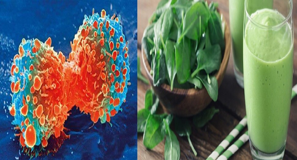 palak juice can prevent cancer know the fact and benefits of it in marathi