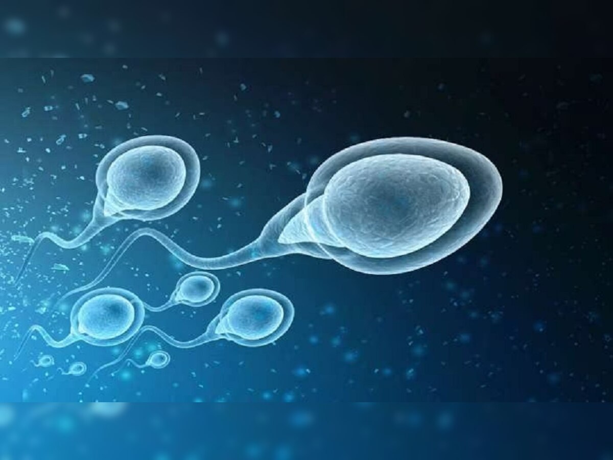 Sperm Donor Scam: एकदा-दोनदा नाही तर तब्बल 60 वेळा स्पर्म डोनेट, पैशांसाठी अशी करत होता फसवणूक title=