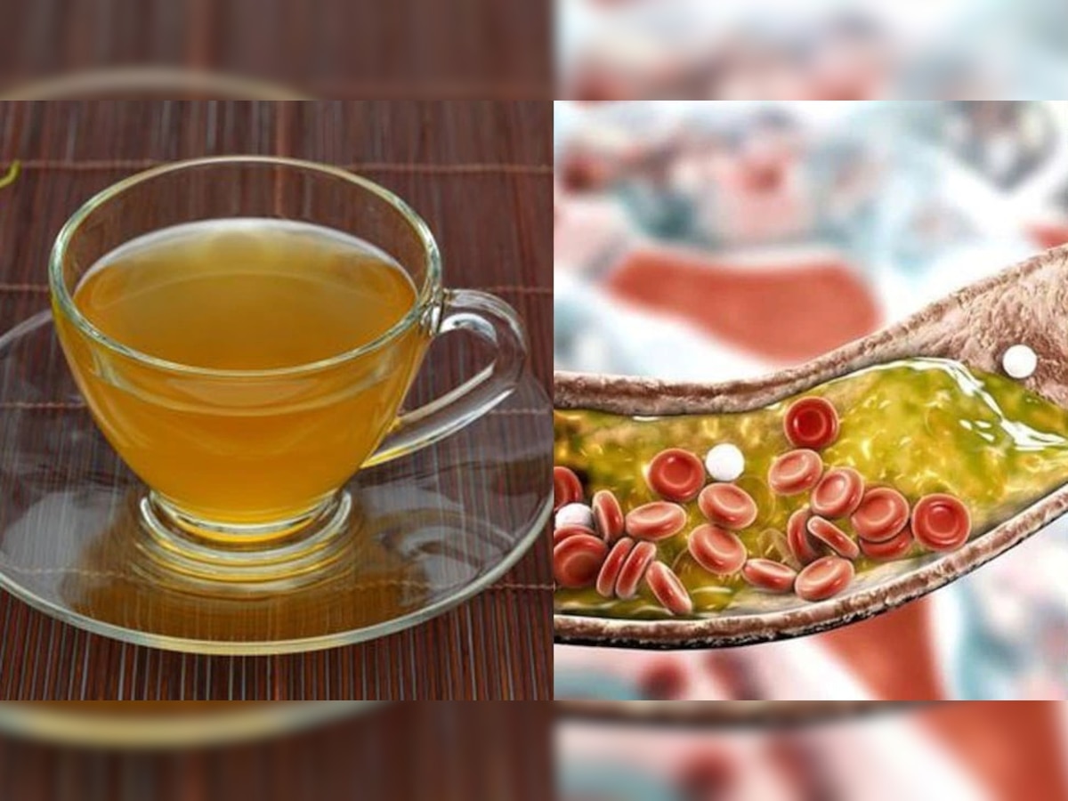Gohyah Tea: Cholesterol वर रामबाण औषध! घरच्या घरी बनवा कारल्याचा चहा, जाणून घ्या असंख्य फायदे title=