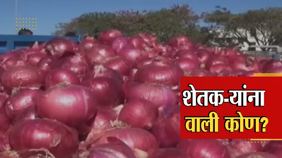 कांद्याने केला वांदा, शेतकऱ्यांच्या डोळ्यात पाणी । Onion has literally
