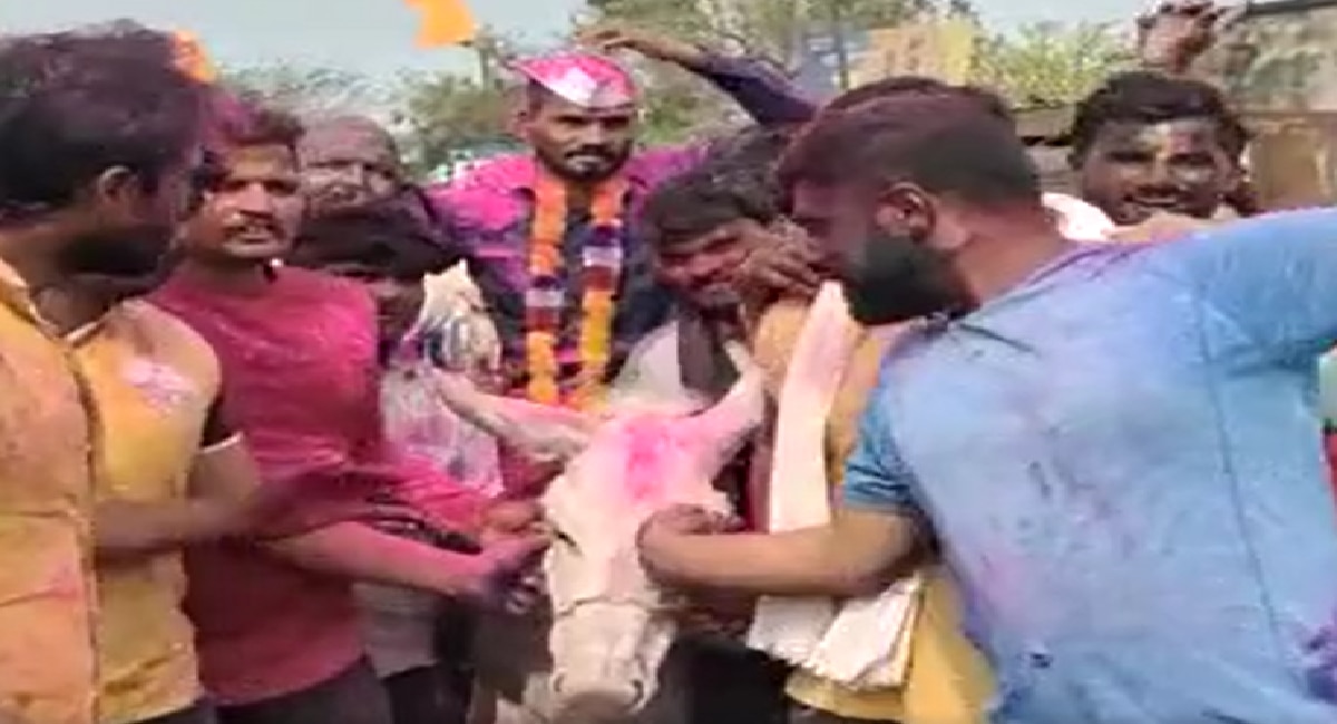 beed donkey riding tradition