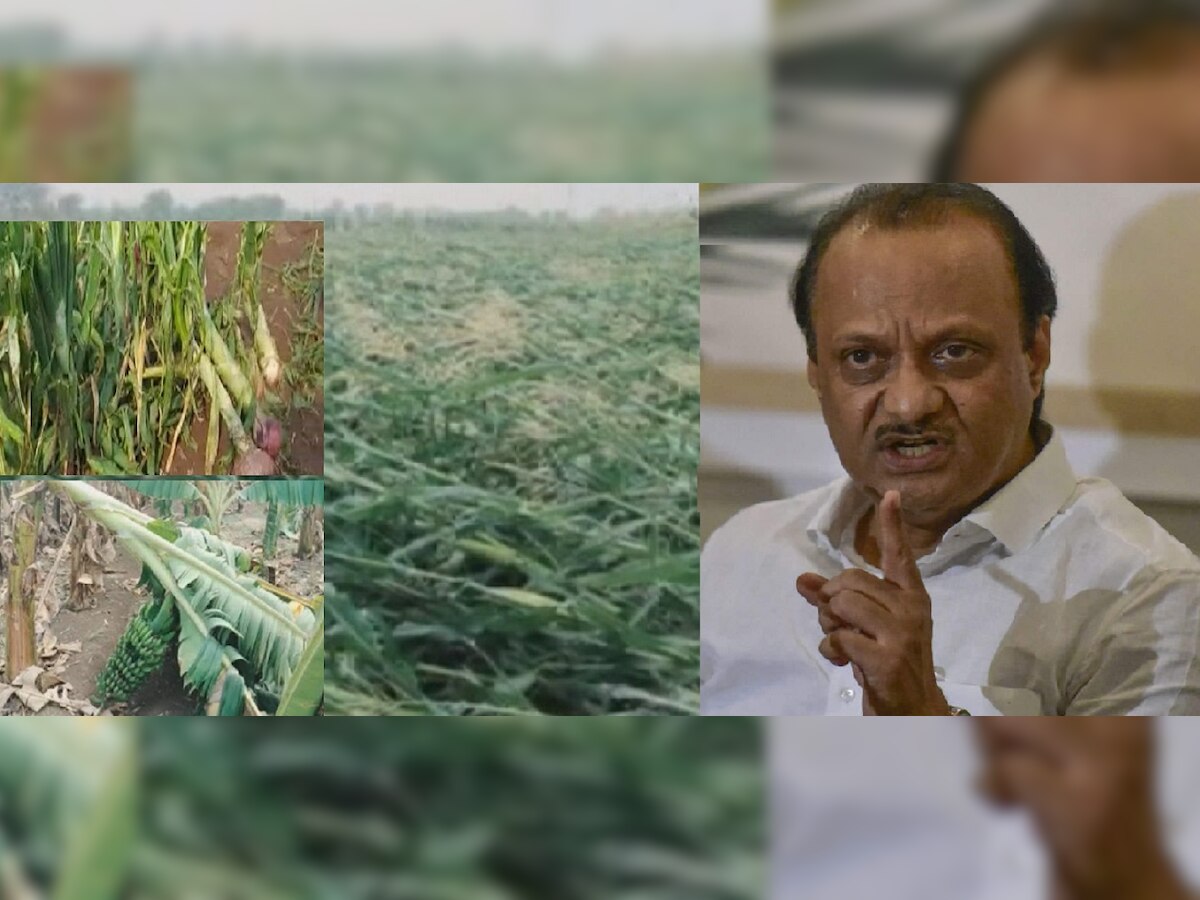  Ajit Pawar : पावसाने शेतकऱ्यांचा घास हिरावला, राज्य सरकारला नुकसानीचा अंदाजच नाही - अजित पवार title=
