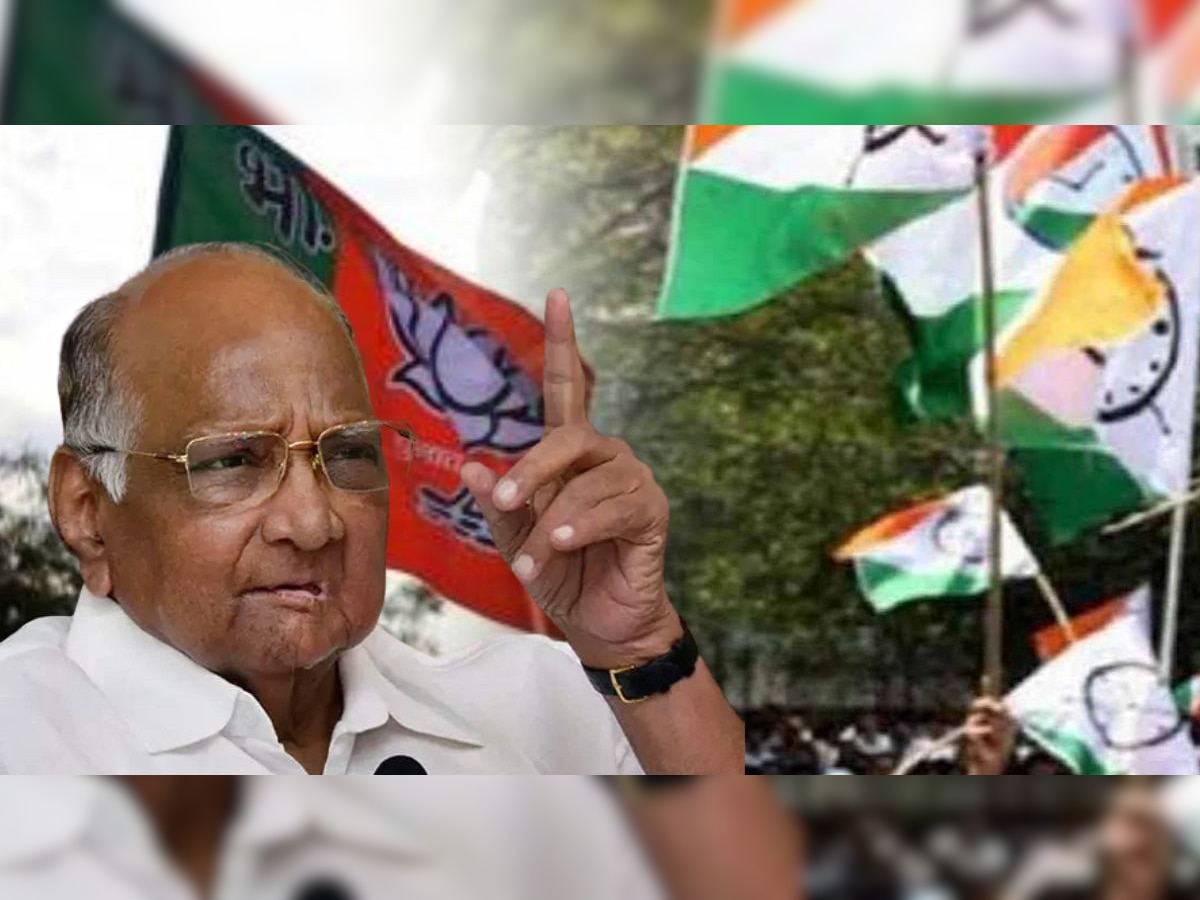 Sharad Pawar यांची पॉवरफूल खेळी, BJP बरोबर राष्ट्रवादी सत्तेत येणार title=