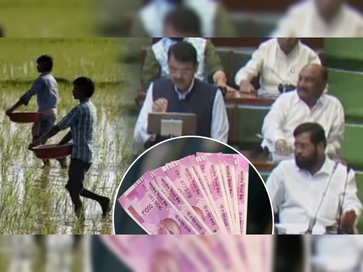 Maharashtra Budget 2023: शिंदे सरकारची शेतकऱ्यांसाठी मोठी घोषणा! दरवर्षी प्रत्येक शेतकऱ्याला मिळणार 6000 रुपये title=
