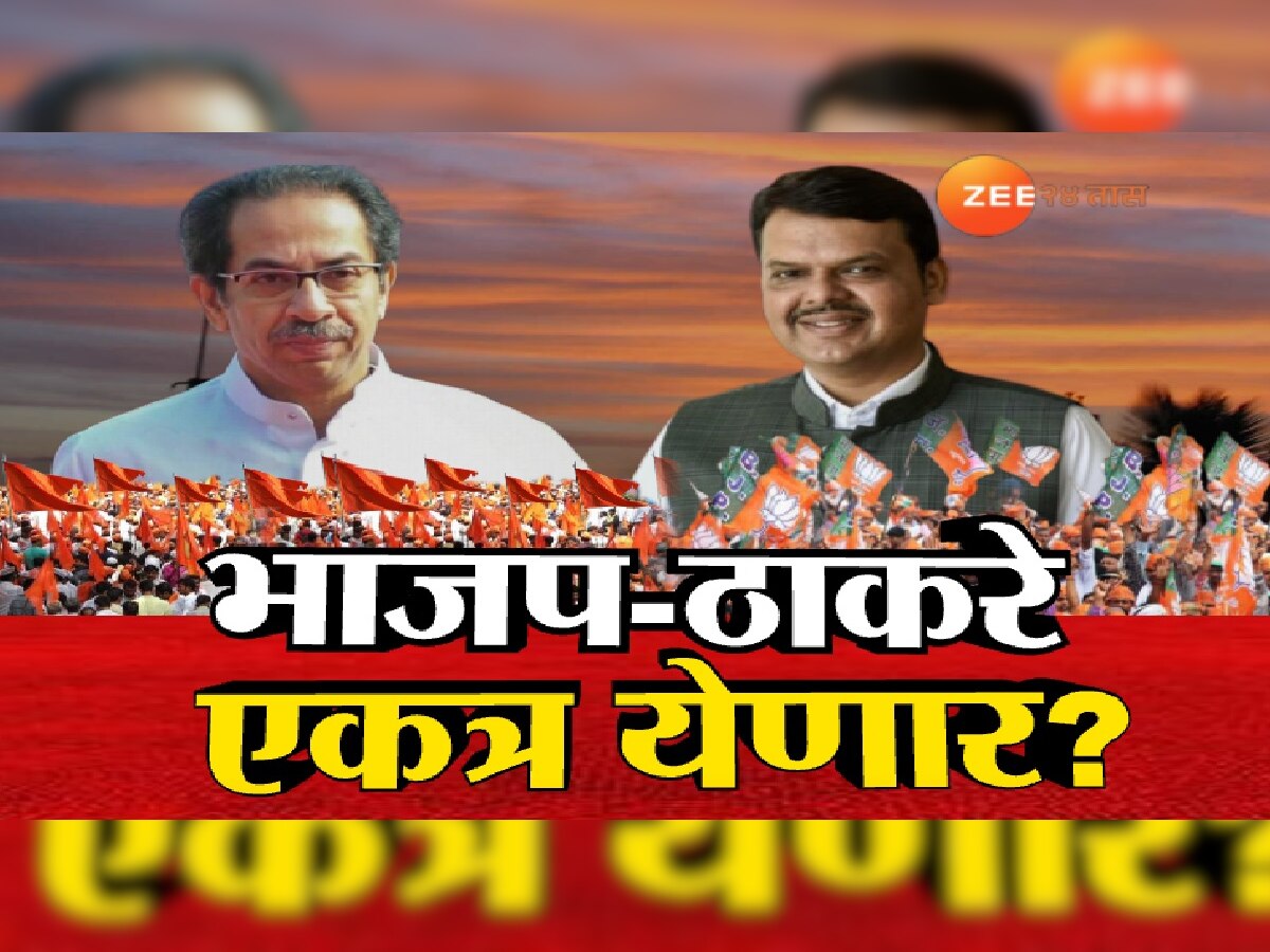 Maharashtra Politics: भाजप - ठाकरे एकत्र येणार? युतीबाबत संजय राऊत यांचे मोठं वक्तव्य  title=