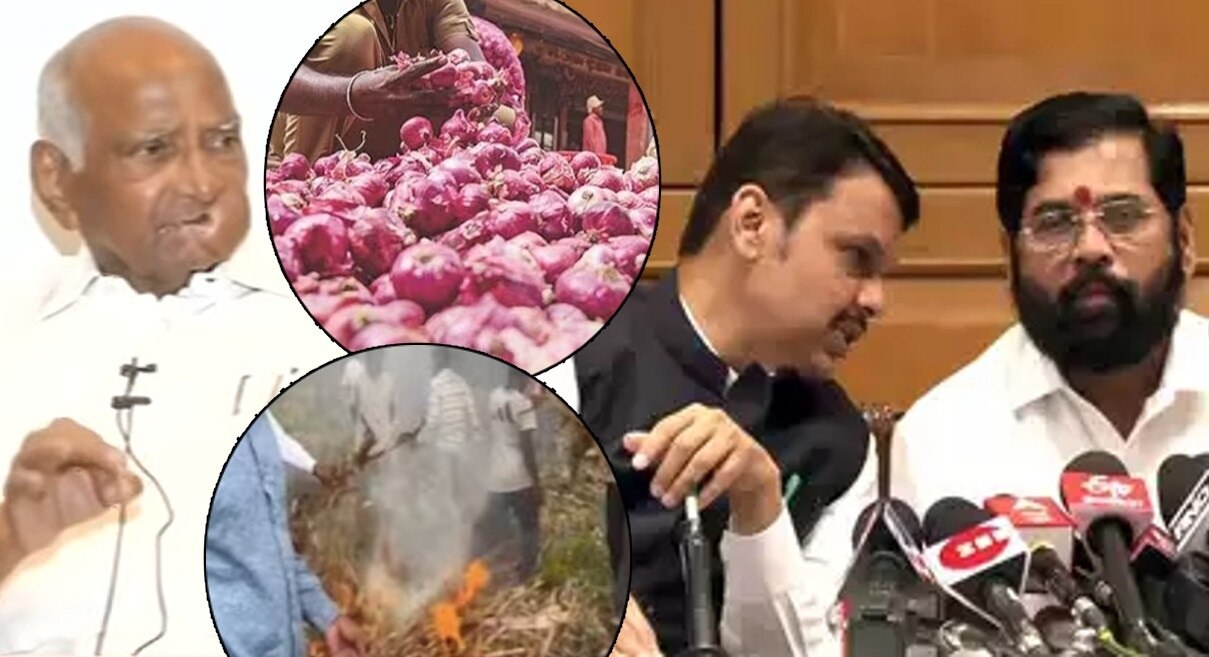 Onion Price Issue: कांदाप्रश्नावरुन शरद पवारांचा शिंदे सरकारला टोला! म्हणाले, &quot;महाराष्ट्रामध्ये देवेंद्र फडणवीसाहेब...&quot;
