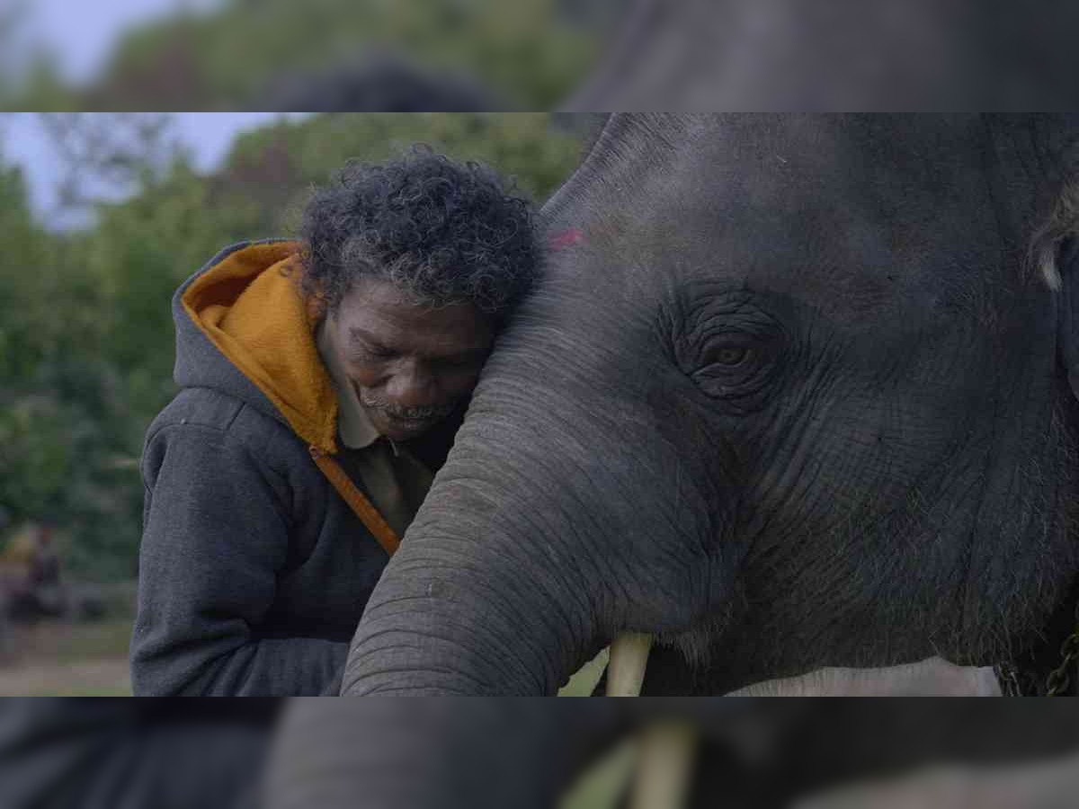 Oscars 2023 Winners: ऑस्करविजेत्या The Elephant Whisperers मधून मांडलीये असामान्य कथा, पाहा VIDEO  title=