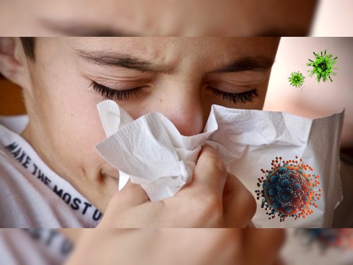 काळजी घ्या! H3N2 विषाणूचा महाराष्ट्रात कहर, पुण्यानंतर 'या' शहरात वाढतायेत रुग्ण title=