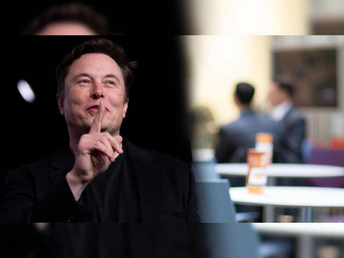 Elon Musk उमेदवाराला विचारतात 'हा' एक प्रश्न; डिग्री नसलेल्यांनाही देतात नोकरी title=