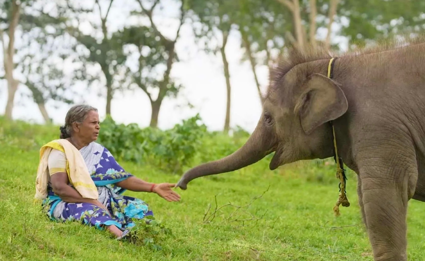 Elephant Whisperers Oscar