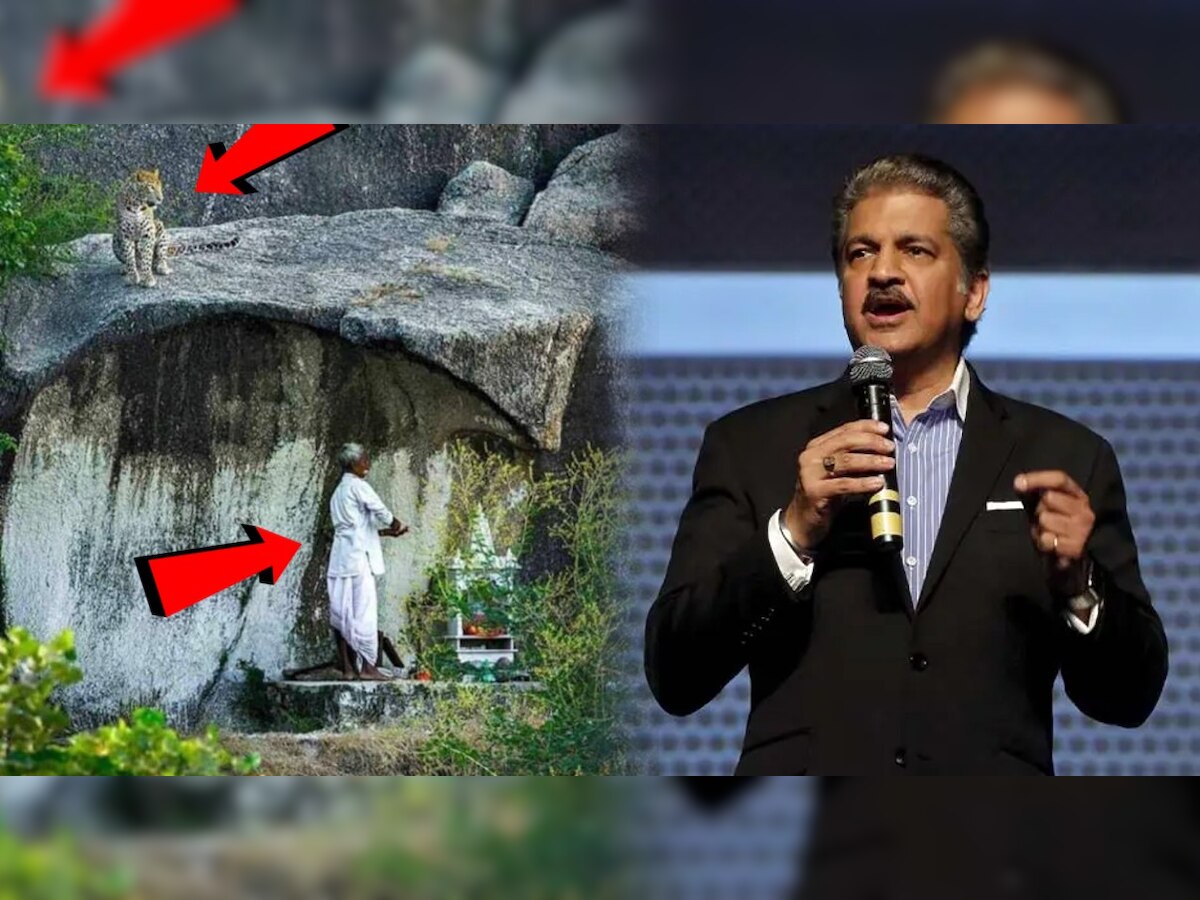 Anand Mahindra: पूजेत मग्न पुजारी अन् जवळच बसलेला बिबट्या! आनंद महिंद्रांनाही वाटलं अश्चर्य; म्हणाले, "हा फोटो..." title=