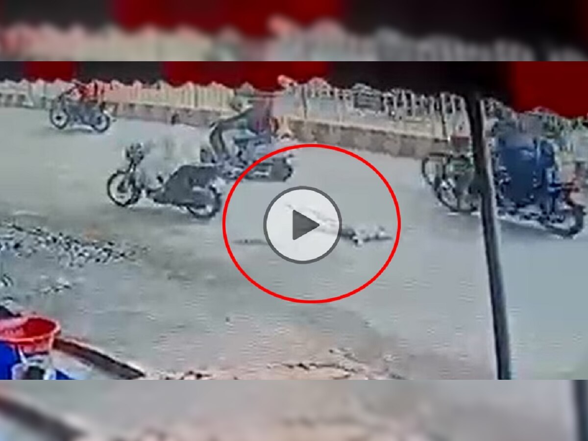 CCTV Footage Viral:निर्दयतेचा कळस! कुत्र्याला दुचाकीच्यामागे बांधून फरफटत नेलं, CCTV व्हायरल title=