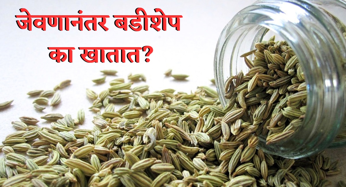Health Tips 5 Incredible Benefits Of Fennel Seeds Health Marathi News