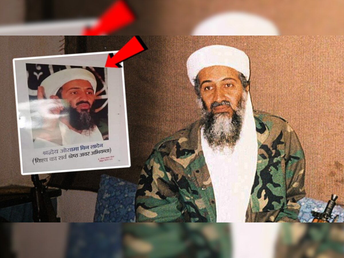 Osama Bin Laden च्या 'या' फोटोमुळे उत्तर प्रदेशमधील सरकारी कर्मचाऱ्याने गमावली नोकरी; कारण... title=