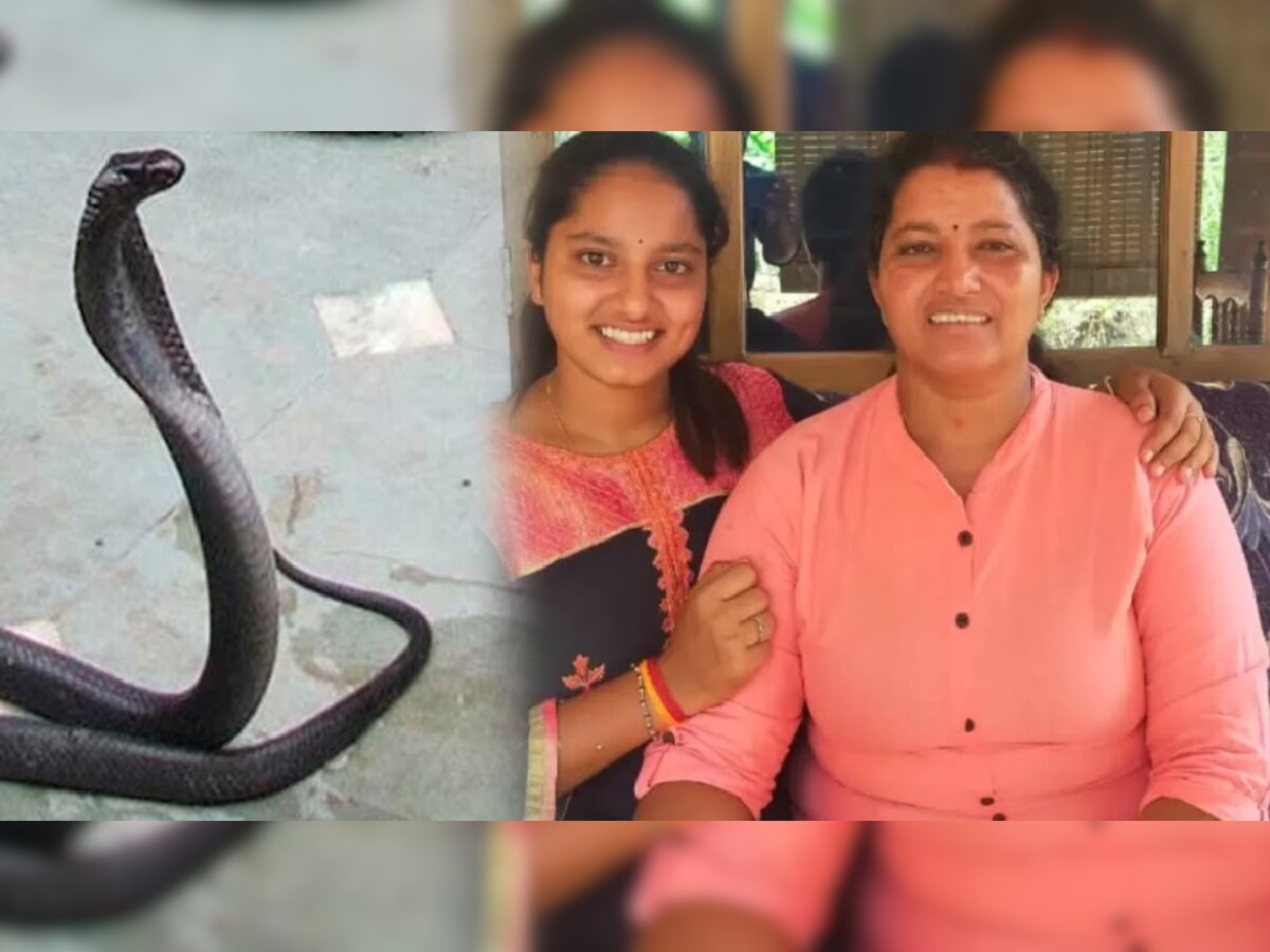 Cobra Bite Women: कोब्रा चावल्यानंतर आईचा प्राण वाचवण्यासाठी मुलीने तोंडाने चोखून काढलं विषारी रक्त; दवाखान्यात गेल्यानंतर... title=