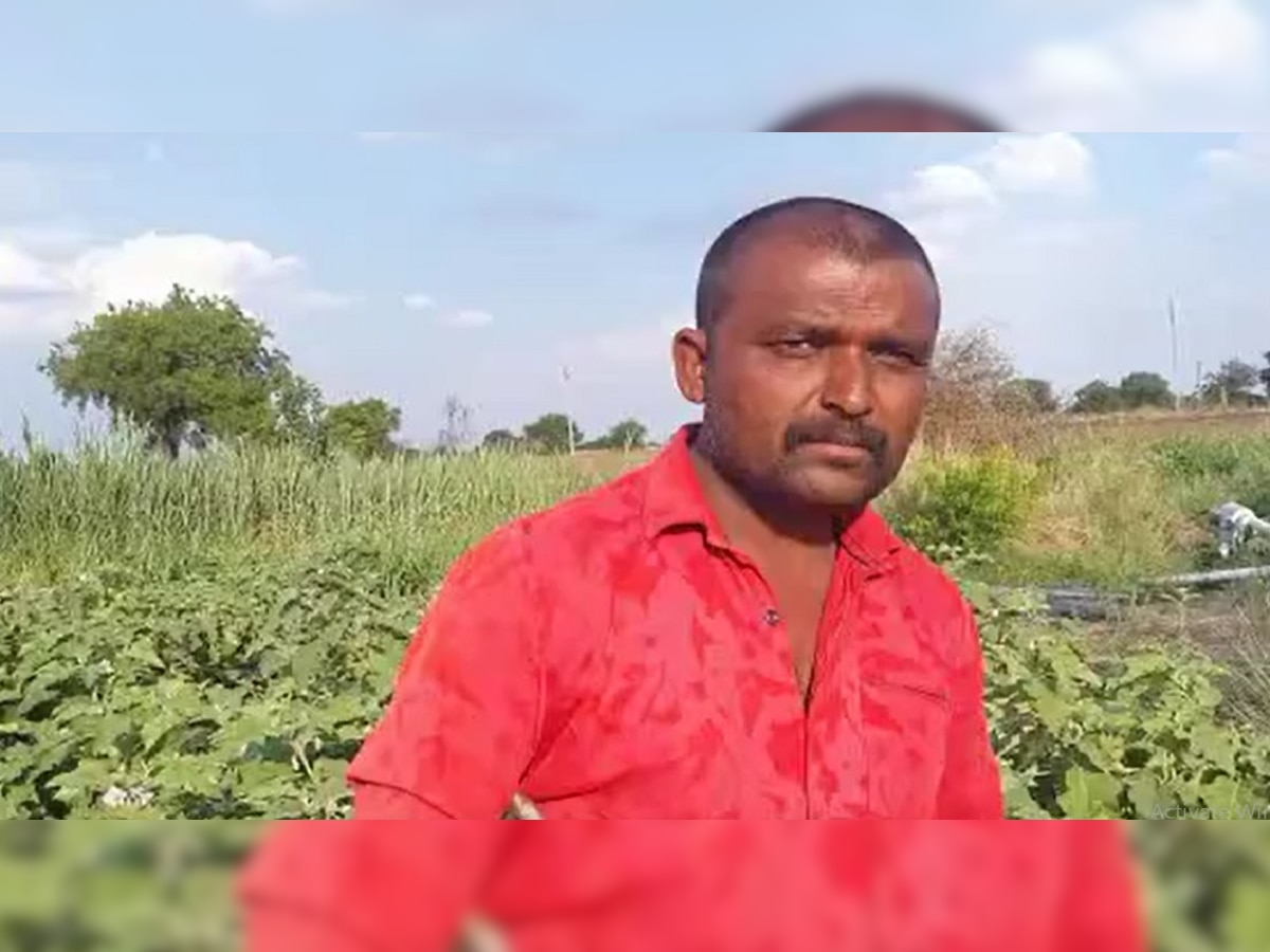 Maharashtra Farmer: वांग्याला मिळाला एक रुपये किलोचा भाव; संतप्त शेतकऱ्यांनी केलं असं काही की संपूर्ण बाजार बघत राहिला title=