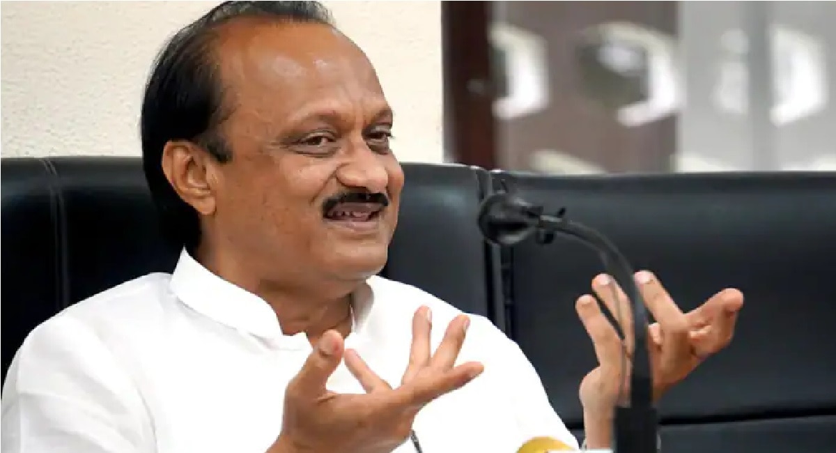 ajit pawar on IT job