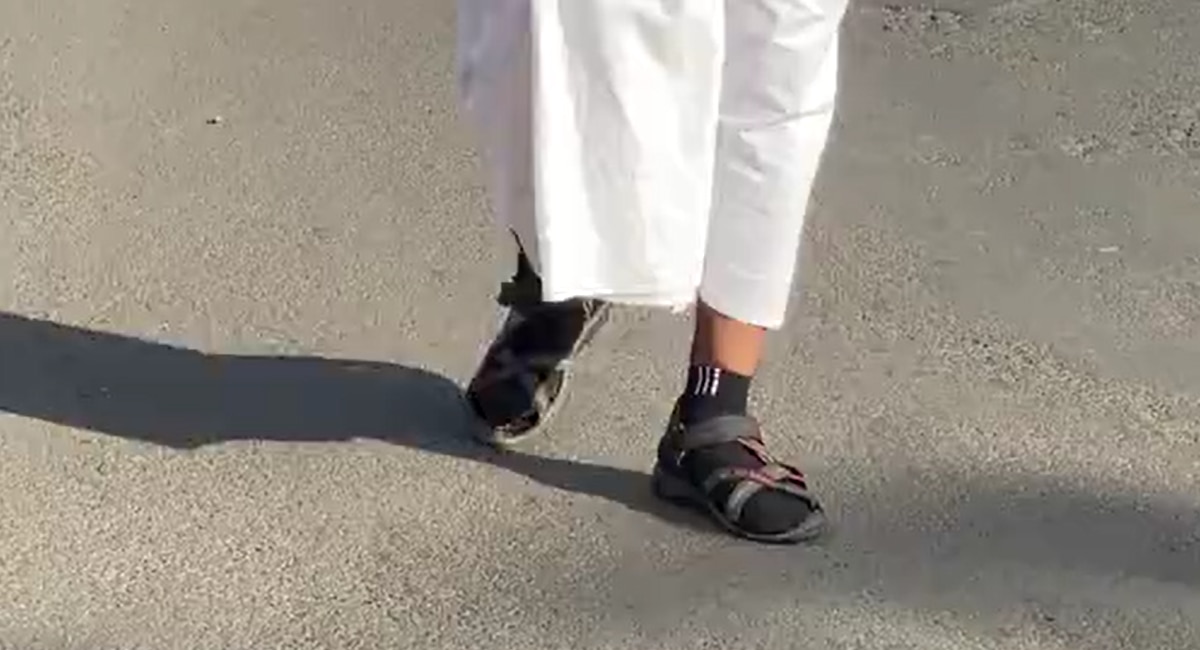 Ram Navami Unique Devotee Walking 