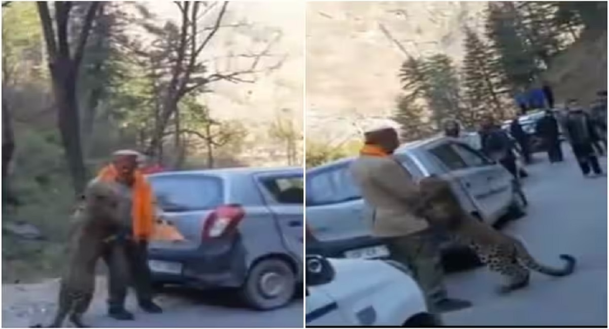 Viral Video : अचानक जंगलातून &#039;त्या&#039; व्यक्तीसमोर आला बिबट्या, वाहतूक खोळंबली अन् मग...