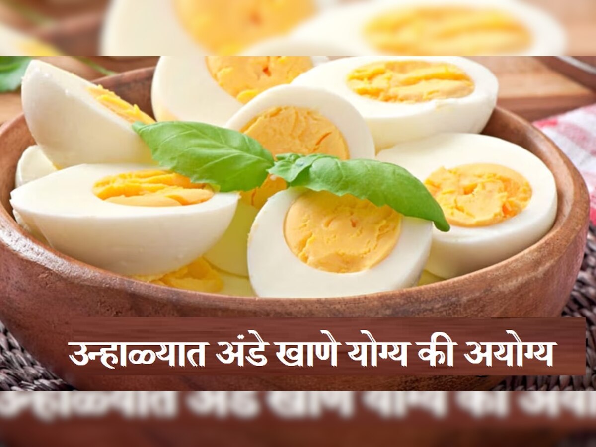 Eggs News :  उन्हाळ्यात अंडी खात असाल तर ही काळजी घ्या, अन्यथा... title=
