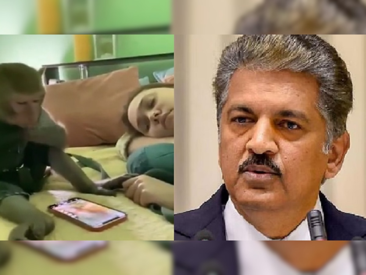 Anand Mahindra Tweet: माकडालाही लागलं रिल्सचं वेड! आनंद महिंद्रा VIDEO शेअर करत म्हणाले, 'या बिचाऱ्याला...' title=