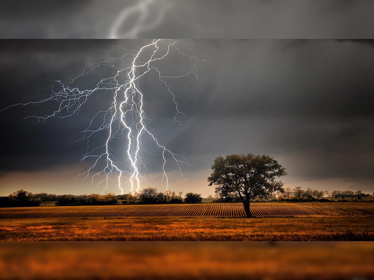 Unseasonal Rain : राज्यभरात अवकाळी पावसाचा धुमाकूळ; वीज कोसळून दोघांचा मृत्यू  title=