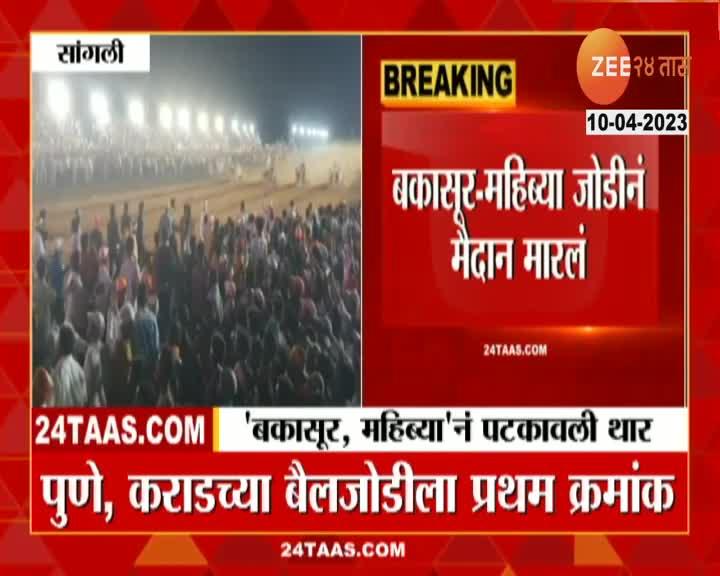 Sangli News थरार बैलगाडा शर्यतीचा; लाखोंच्या बक्षीसांची लयलूट 24