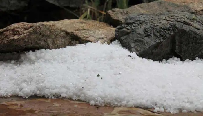 Maharashtra Weather Hailstorm and heavy rain predictions in state 