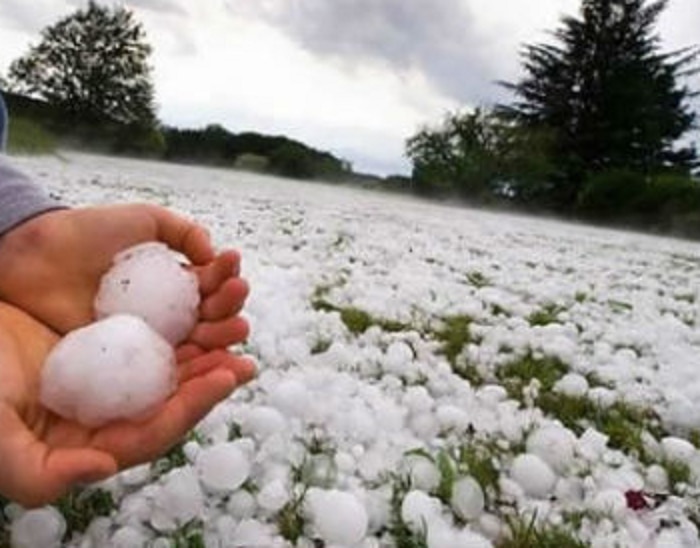 Maharashtra Weather Hailstorm and heavy rain predictions in state 