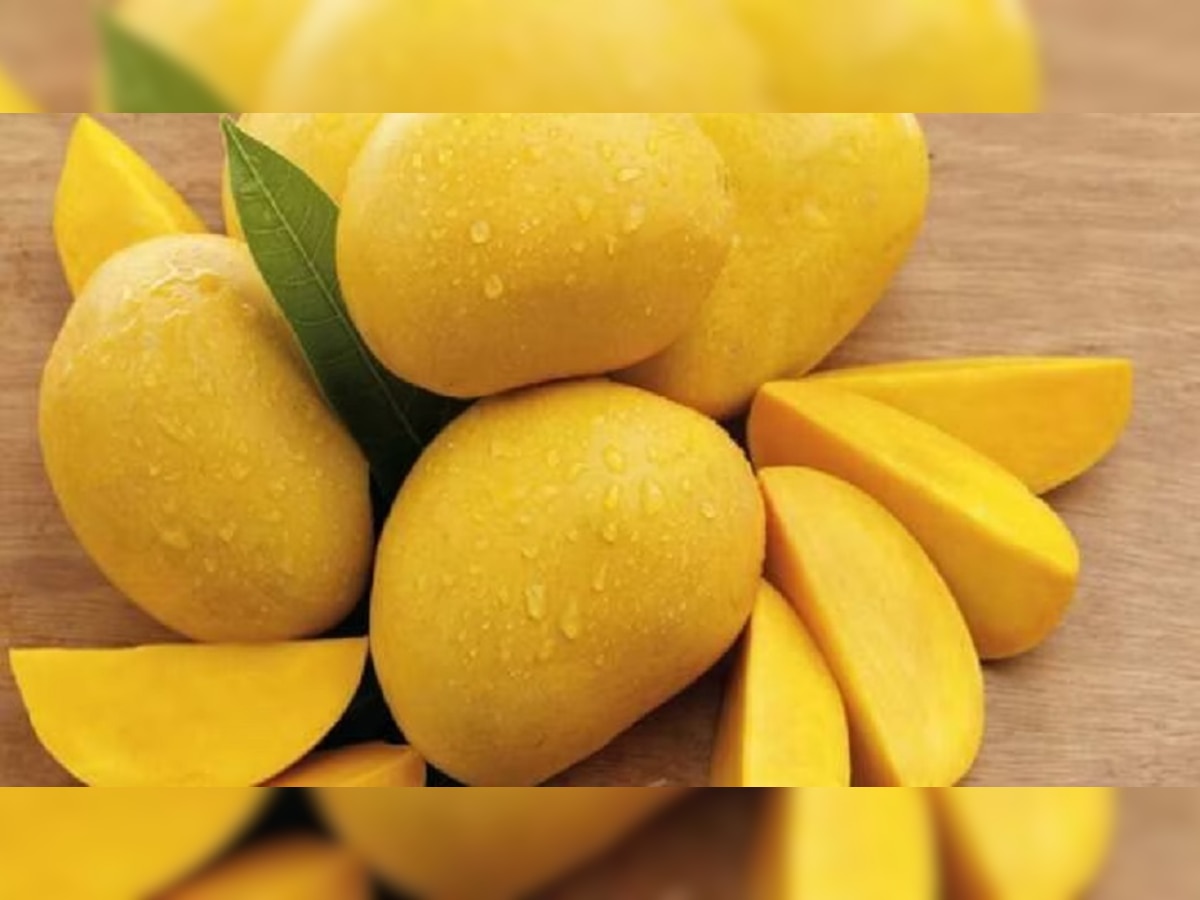 Mango Variety: 'या' सिझनला फक्त हापूसच नाही तर ट्राय करा आंब्याचे 'हे' प्रकार!  title=