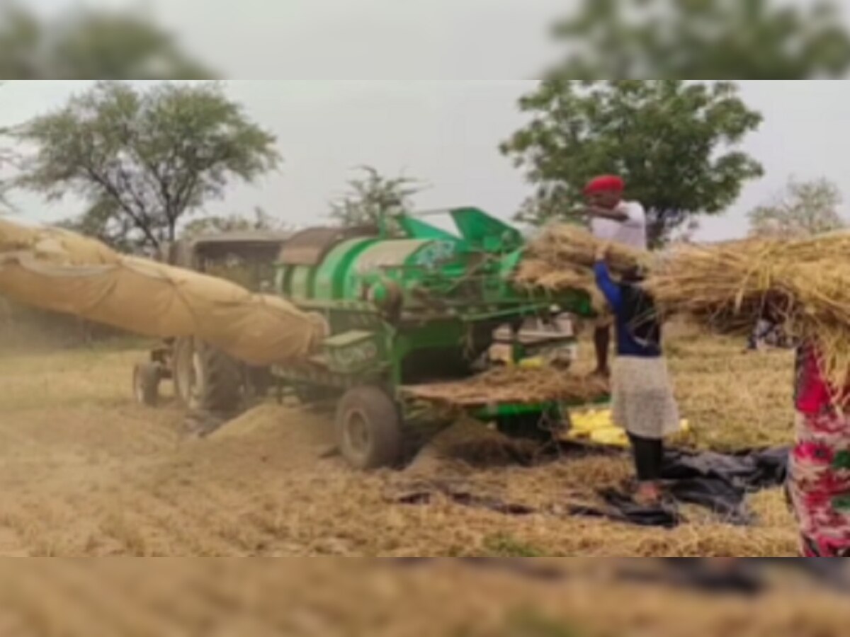 Viral Farmer Video: याला म्हणतात आत्मनिर्भर! वेळ आणि कष्ट वाचविण्यासाठी शेतकऱ्यांचा जुगाड पाहून तुम्हीही हेच म्हणाल title=