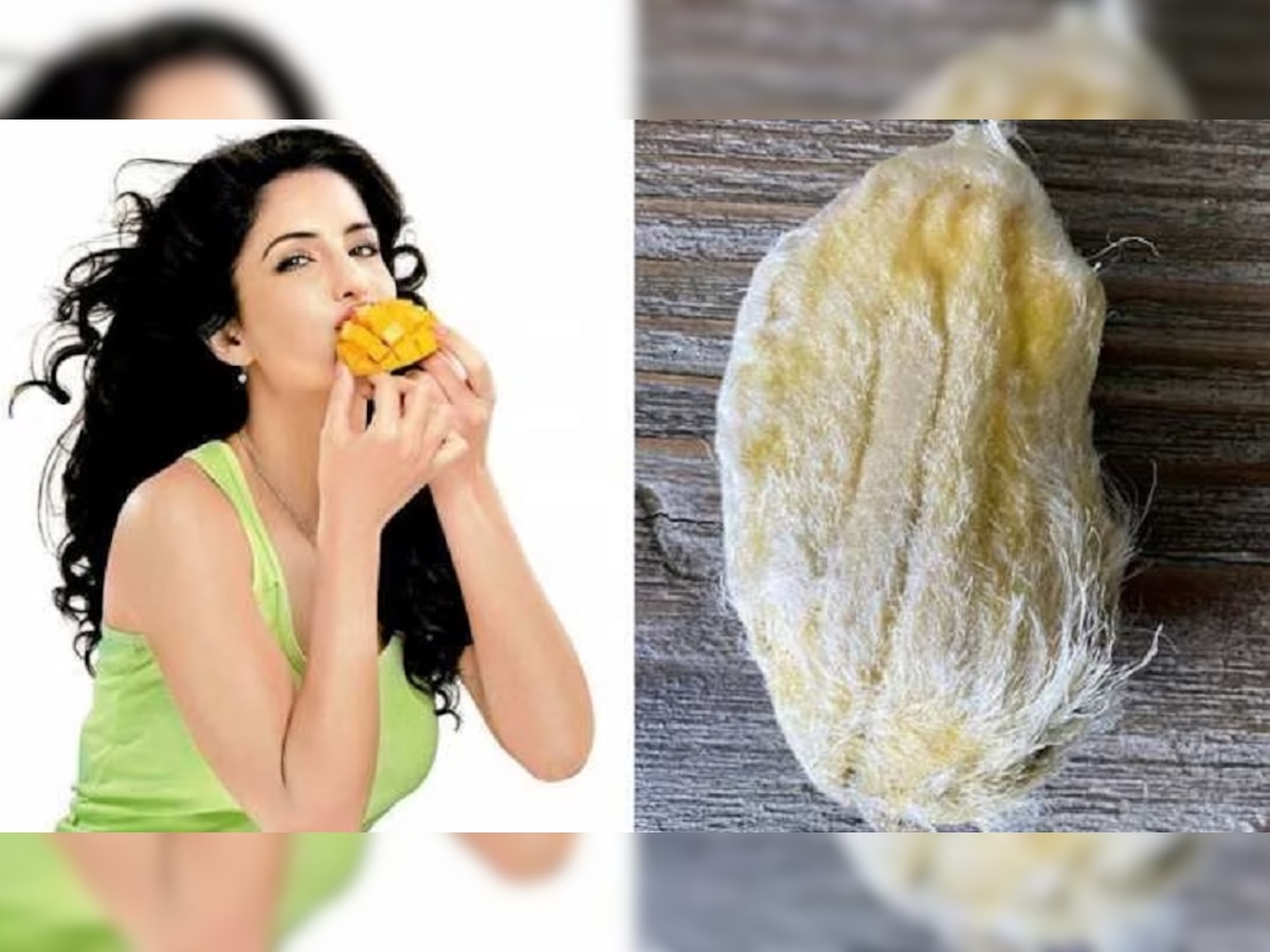 Mango Seed Benefits: आंबे खाल्ल्यानंतर कोय फेकू नका; जाणून घ्या भरपूर फायदे title=