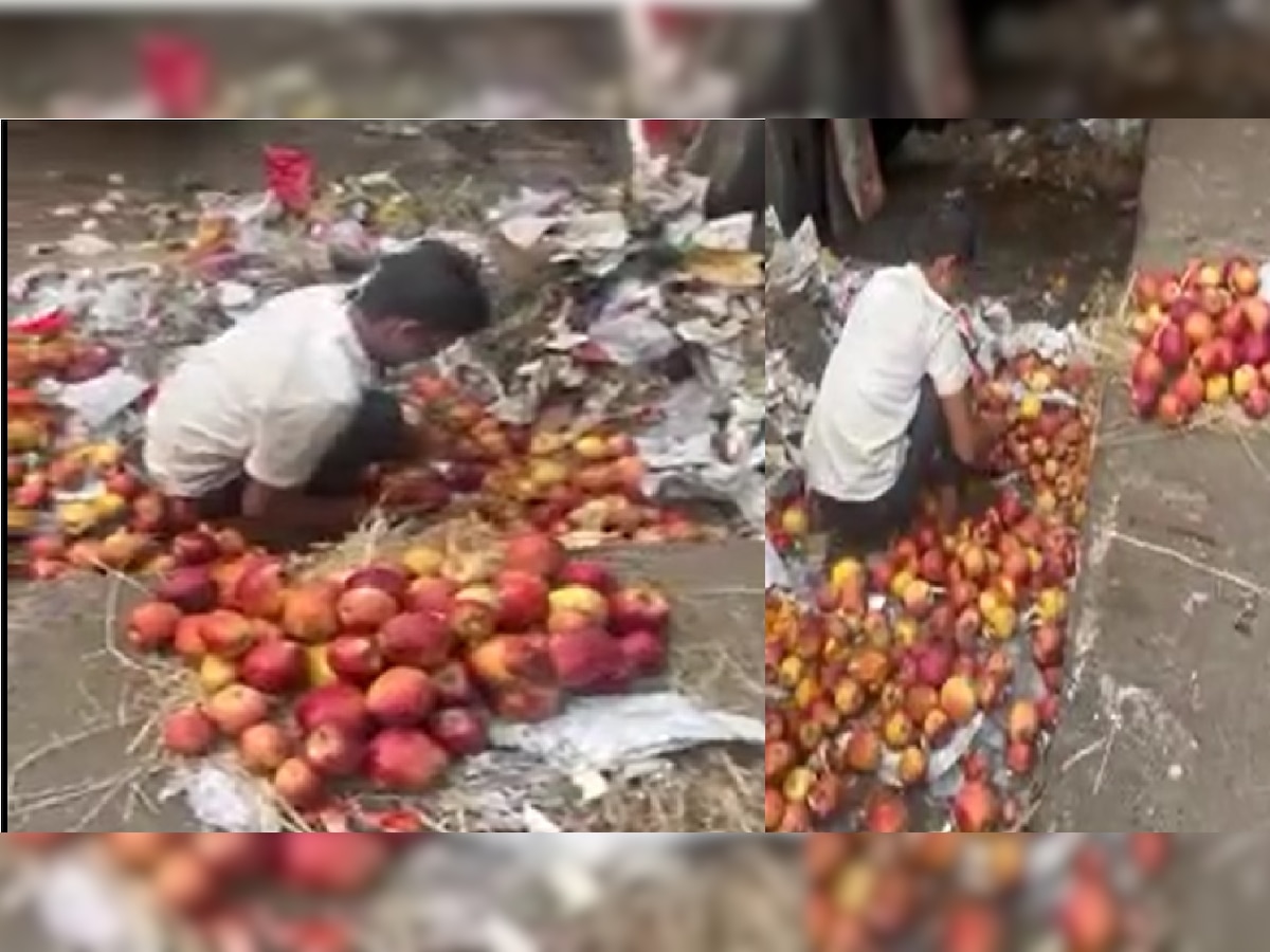 APMC Market Video: किळसवाणे! कुत्र्याने चाखलेल्या बर्फानंतर आता सडलेल्या फळांचा ज्युससाठी वापर  title=