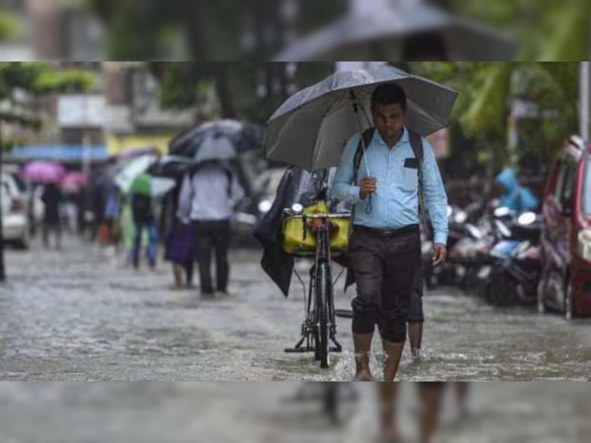 Maharashtra Weather: छत्री घेऊनच बाहेर निघा! पुण्यासह राज्यातील 'या' जिल्ह्यांना 'यलो अलर्ट' जारी title=