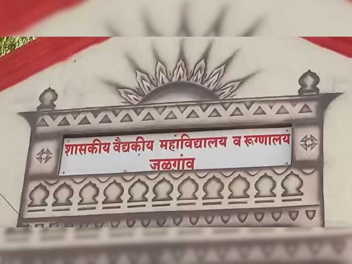 सरकारी रुग्णालयात नवजात बाळांची अदलाबदली; आता करावी लागणार DNA टेस्ट  title=