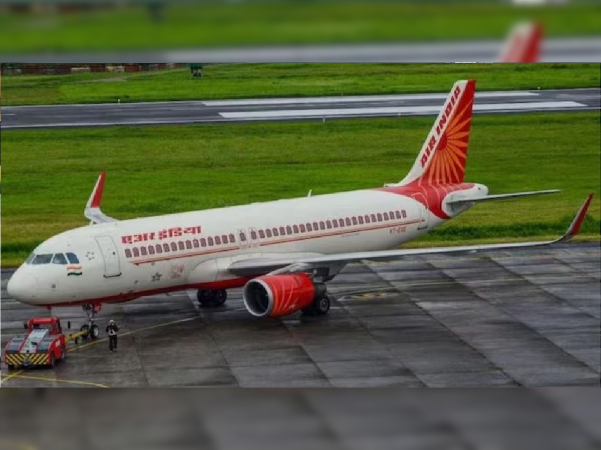 Air India : काय मी करु विंचू चावला! एअर इंडियाच्या विमानत महिला प्रवाशाला विंचवाचा डंख title=