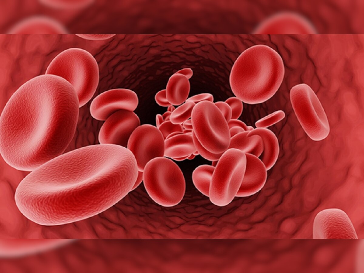 World Thalassemia Day 2023: तुमच्या शरीरात रक्त कमी आहे, लक्षणे दिसताच सुरु करा 'हे' उपाय title=