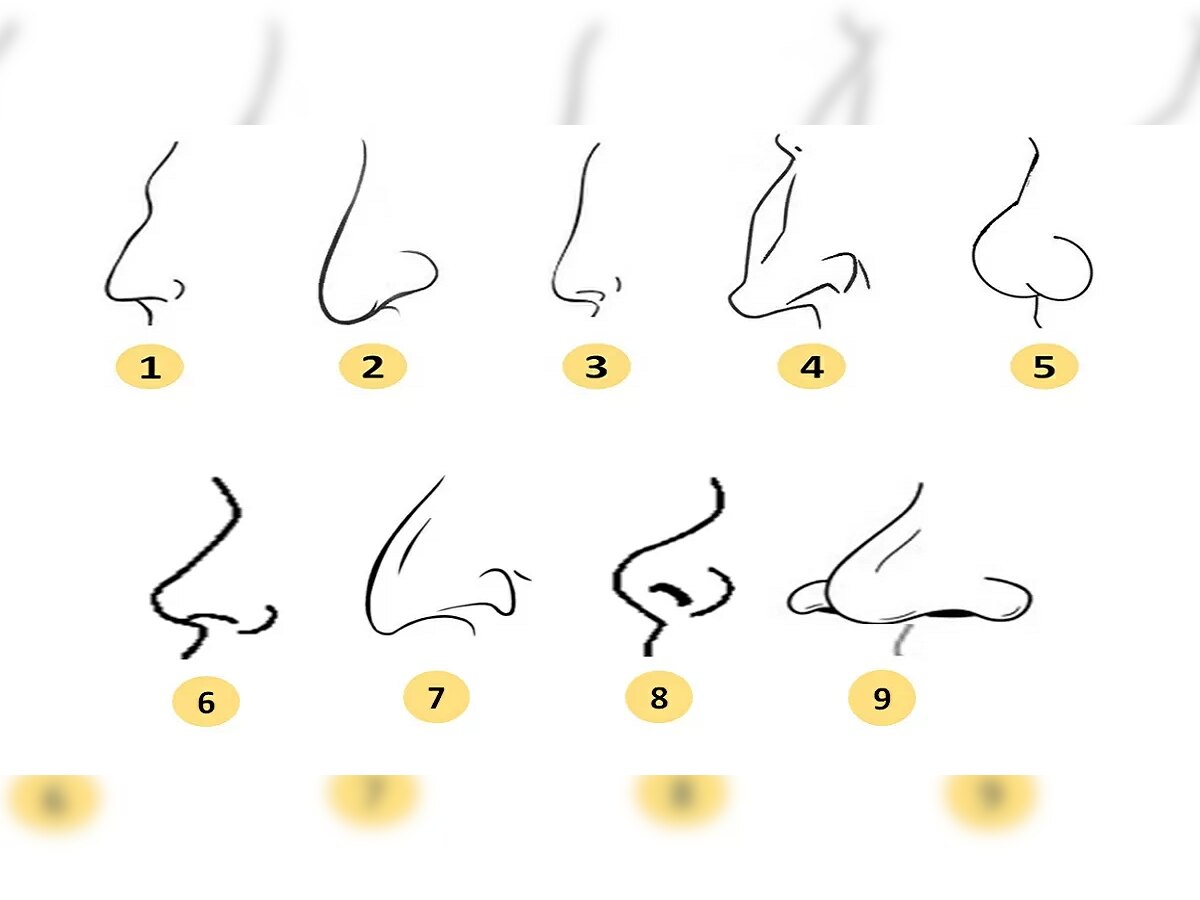 नाकाचा आकार तुमच्या स्वभावाबद्दल काय सांगतो? जाणून घ्या title=