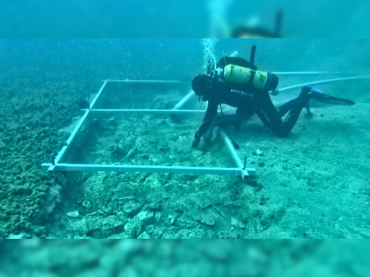 Archaeological Discovery: समुद्रात 7 हजार वर्षांपूर्वीची अशी गोष्ट सापडली की संशोधकही चक्रावले title=