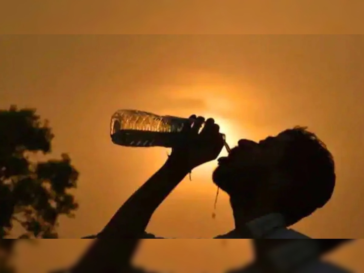 Heat Wave : राज्यात चौथ्यांदा उष्णतेच्या लाटेचा इशारा, आतापर्यंत 4 जणांचे बळी title=