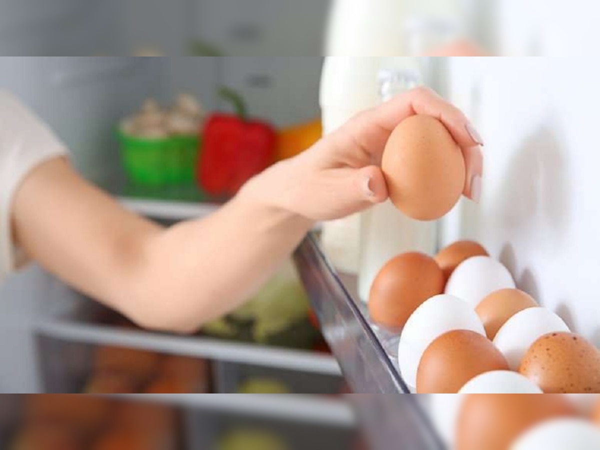 फ्रीजमध्ये अंडी, चिकन, पनीर ठेवता का? मग वाचा 'ही' महत्त्वाची माहिती..  title=