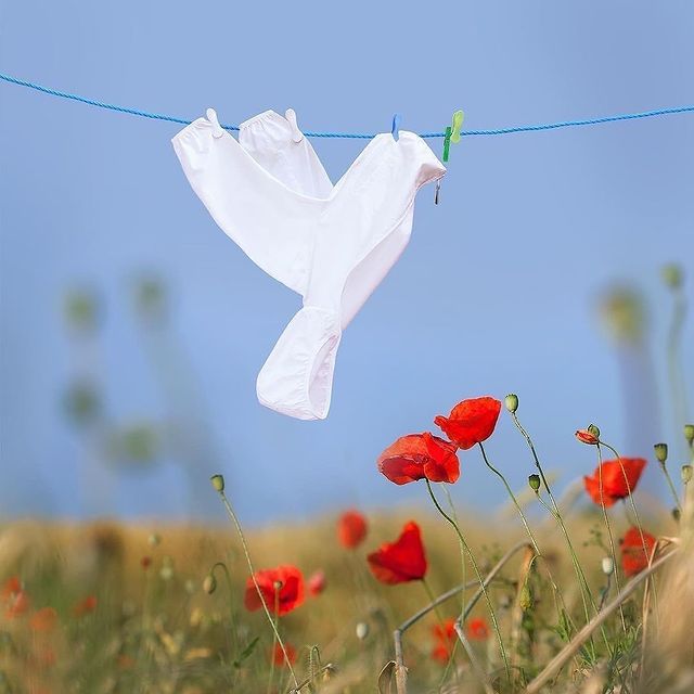 Art Using Clothes On Washing Line