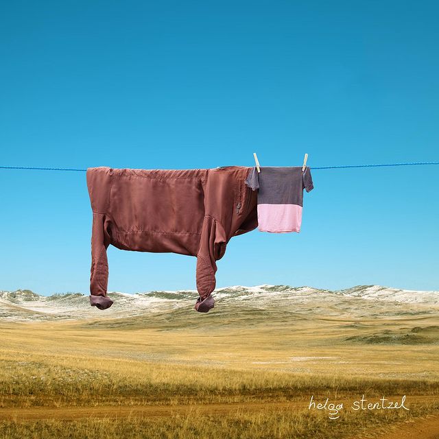 Art Using Clothes On Washing Line