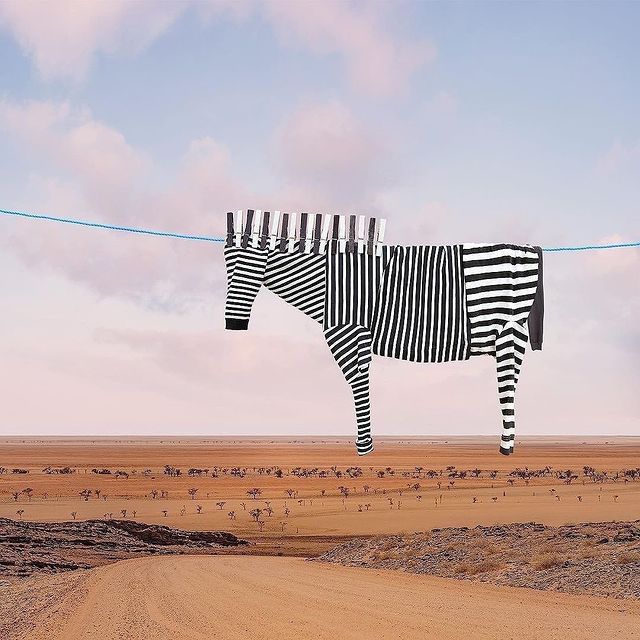 Art Using Clothes On Washing Line