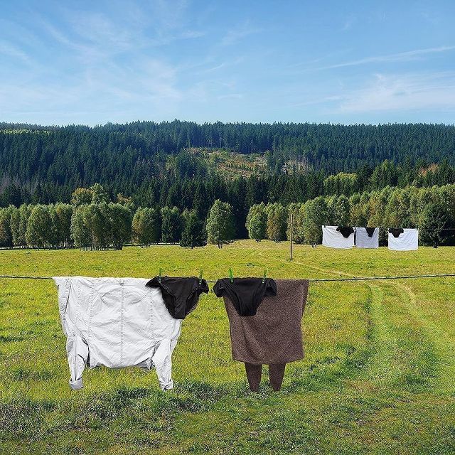 Art Using Clothes On Washing Line