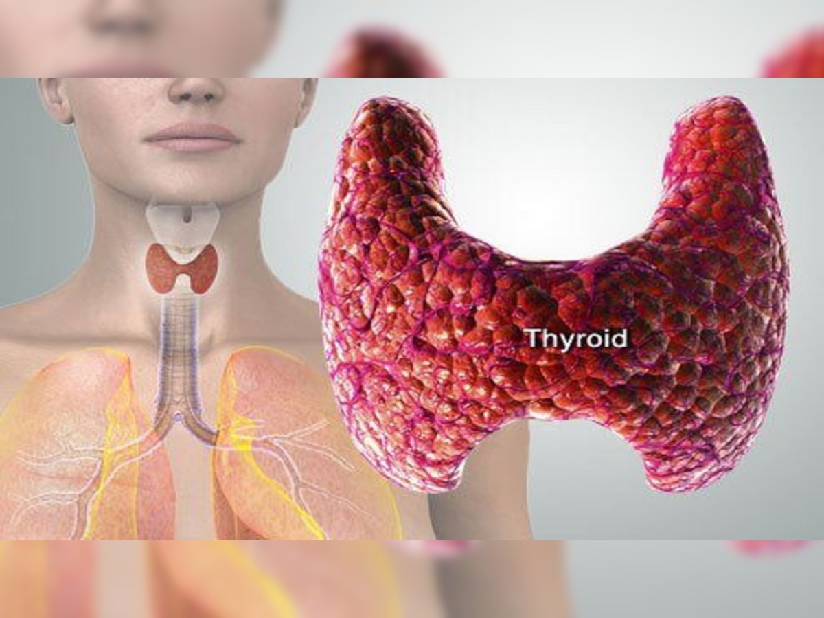 Thyroid Symptoms : महिलांनो सावधान! 'ही' लक्षणे देतात थायरॉईडचे संकेत, दुर्लक्ष टाळा अन् डॉक्टरांना भेटा title=